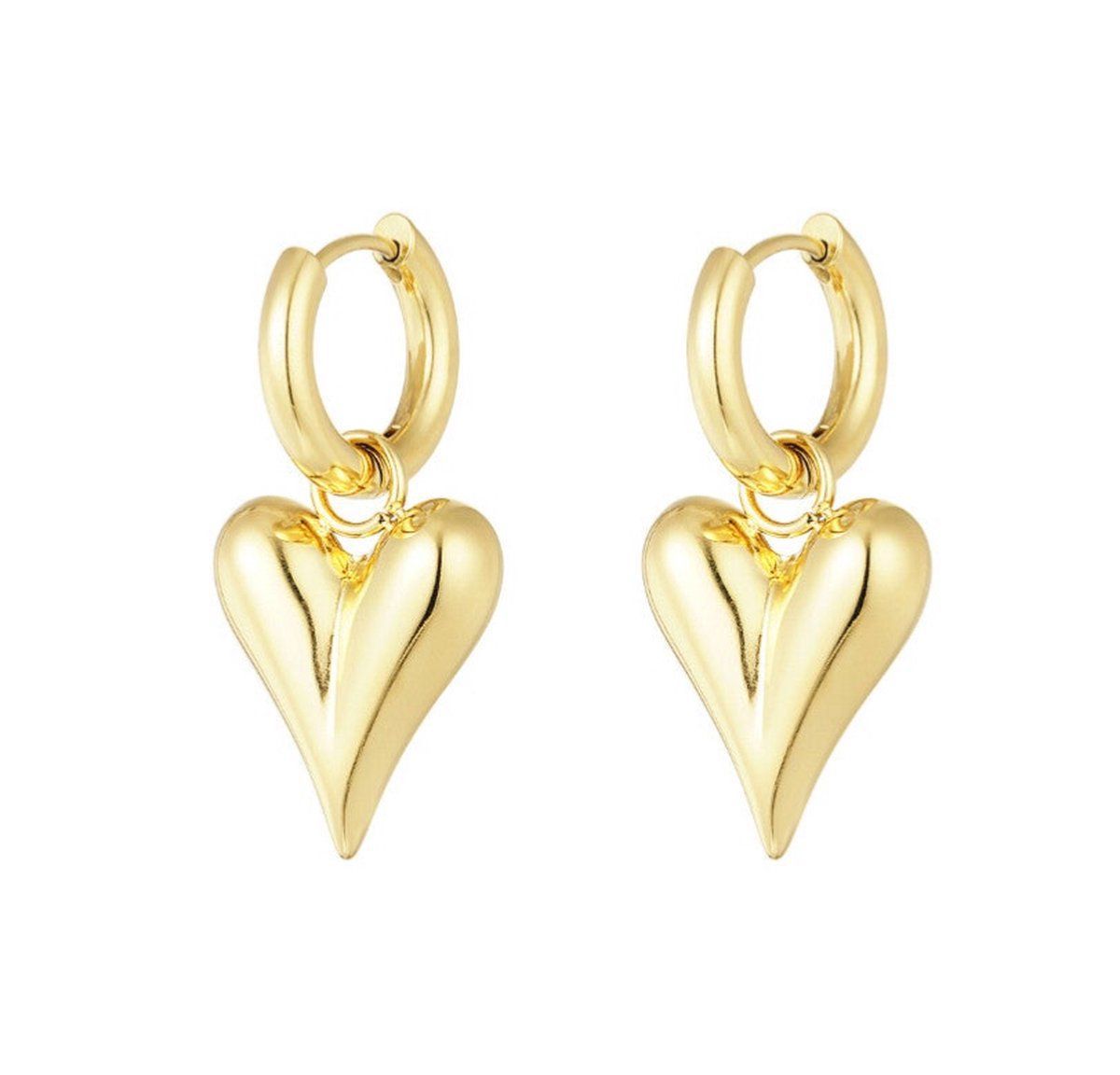 Classy Heart Oorbellen